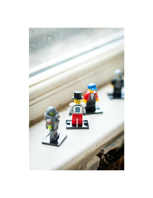 Image module